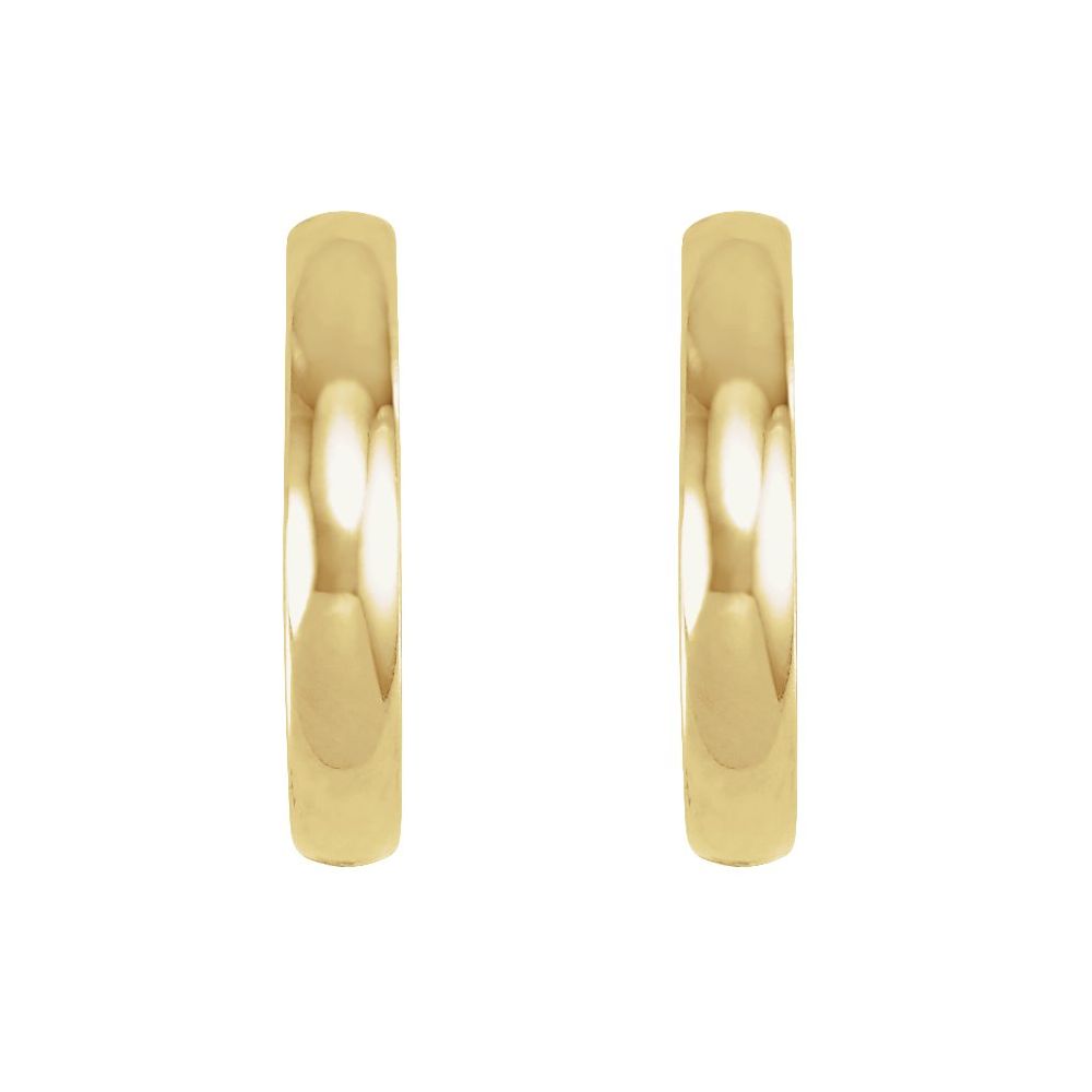 Hoop Hinged Earrings